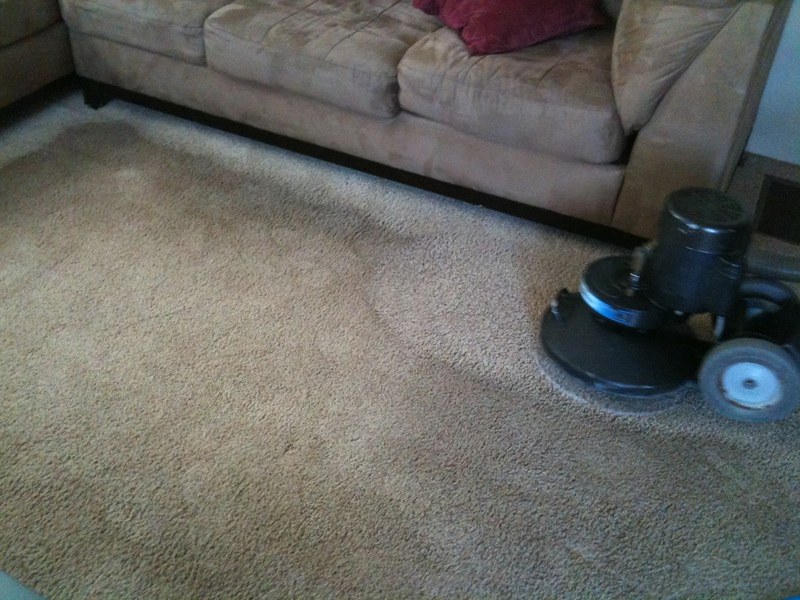 Eco-Dry Carpet Care rotary machine cleaning a living room carpet